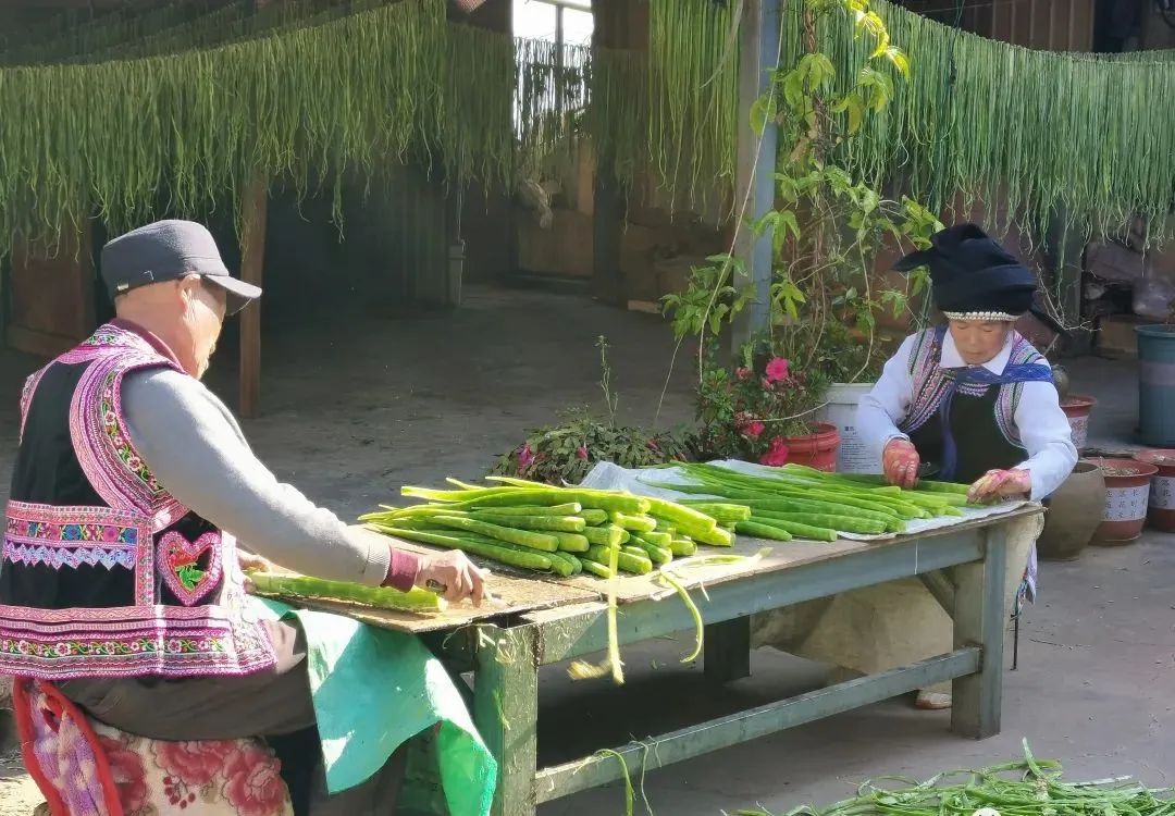 农民增收致富金钥匙,瓦哲村