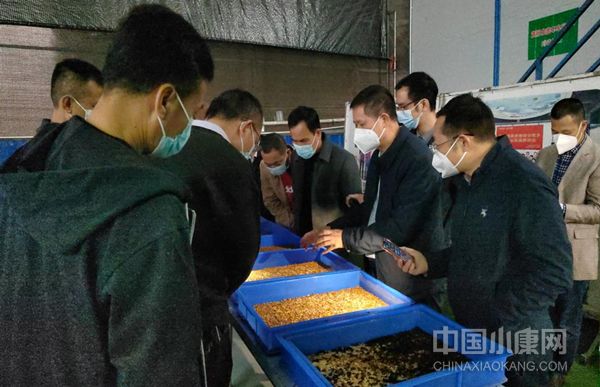 怎样在乡村振兴中激发人才活力,广东乡村人才培育行动