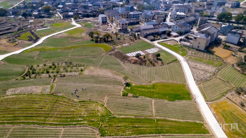 打造一支强大的乡村振兴人才队伍,凝聚乡村力量凸显农村新气象