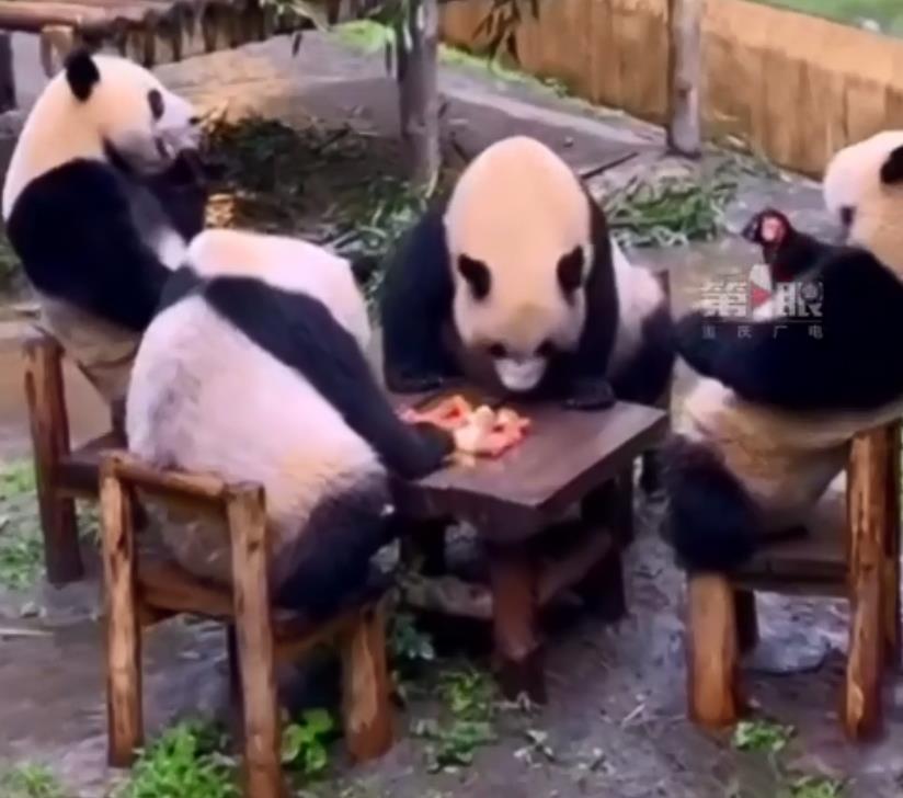 异地补换身份证需要准备什么材料,广东身份证过期可以网上补换吗