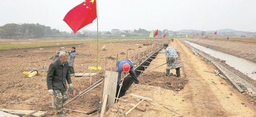 农业科技创新的融资,以科技金融创新支持乡村振兴