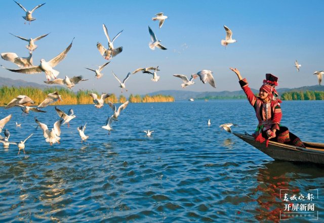 开屏广告的策划,开屏最新创意广告合集