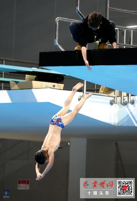 跳水萌娃队,十堰少儿游泳队