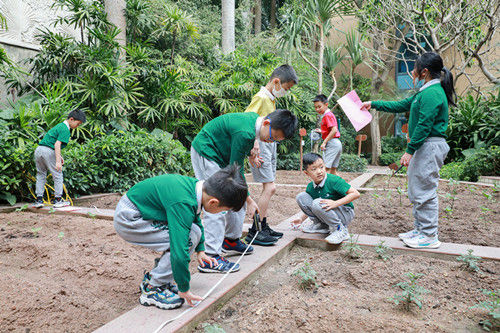 深圳外国语小学举办快乐数学日，让孩子们在快乐中长智慧