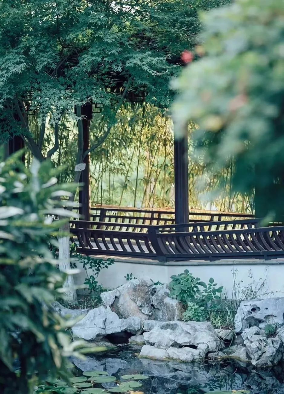 半岛叨叨丨放假7天！青岛这所高校冲上热搜，网友：又是别人家的学校