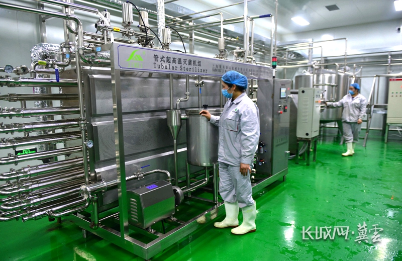 河北新河土特产铺就振兴路,打造中国式现代化河北场景