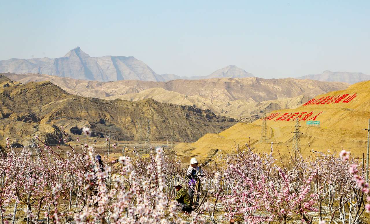 与春天撞个满怀全文,宁夏石嘴山贺兰山下风光