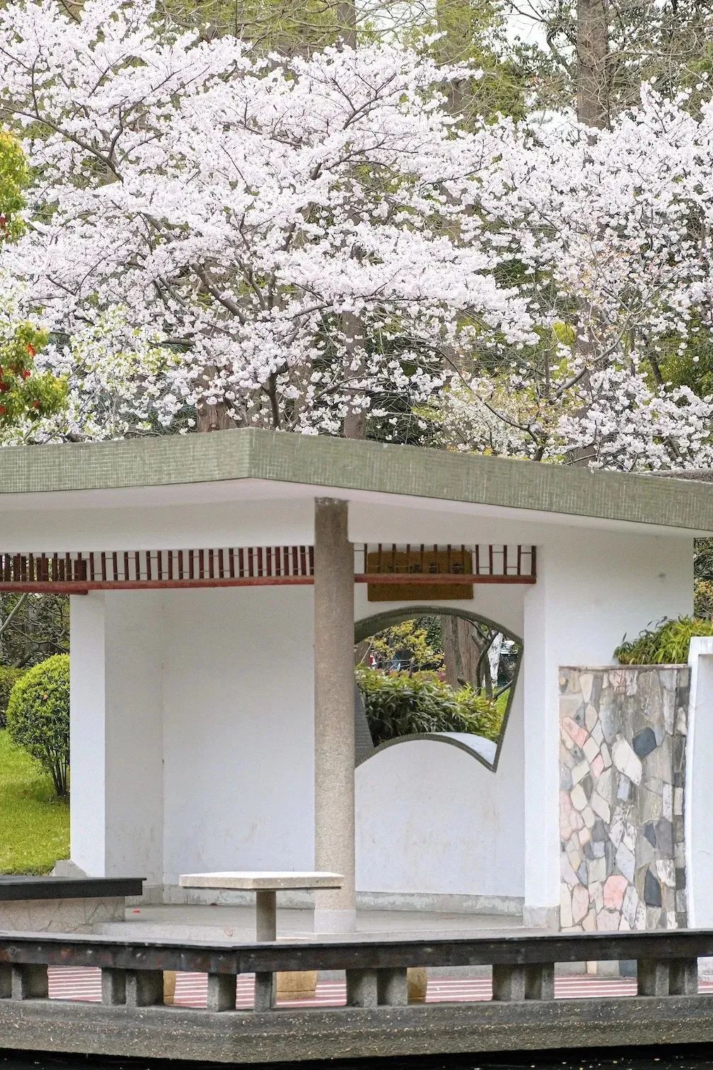 春日赏花先识花，识花先看这一篇~