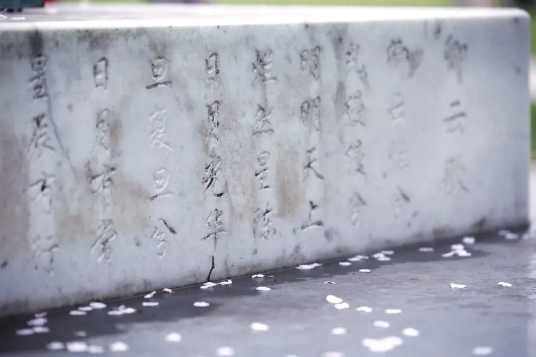 春日赏花先识花，识花先看这一篇~