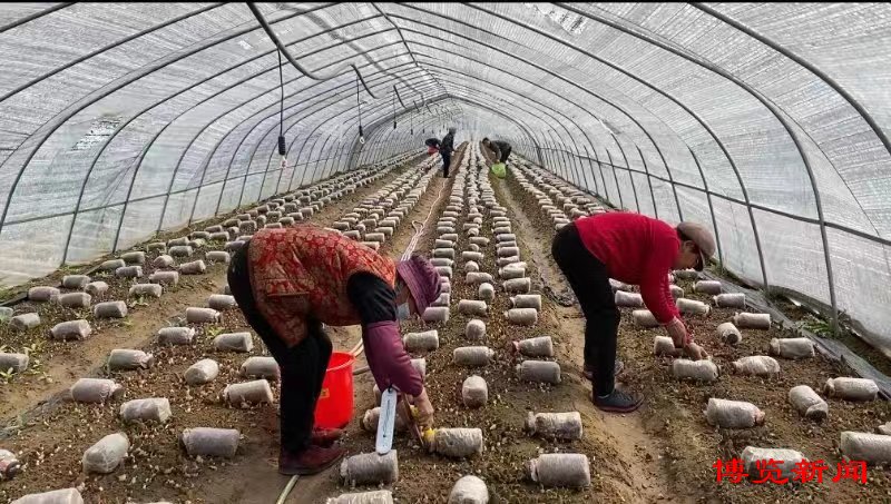 楂橀潚涔℃潙缇庢櫙缁樼敾,楂橀潚鏃呮父鎶曡祫椤圭洰