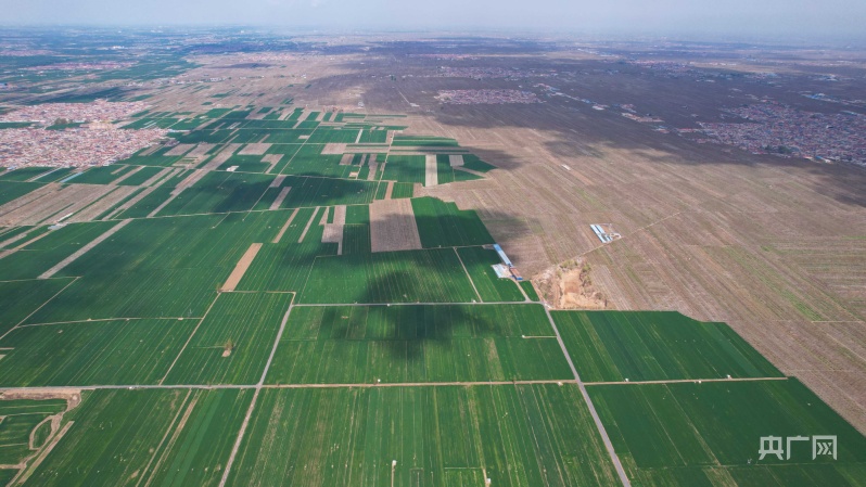 赵县梨花观赏地,发现河北之美
