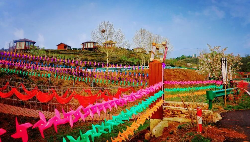 孝昌茶叶节,最美茶乡采茶节