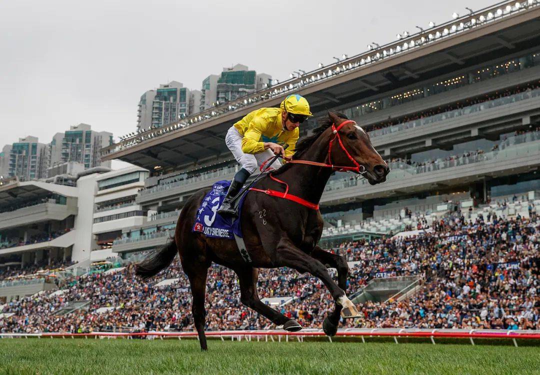 最多外队马参赛的一届，谁将称霸2023富卫保险冠军赛马日？