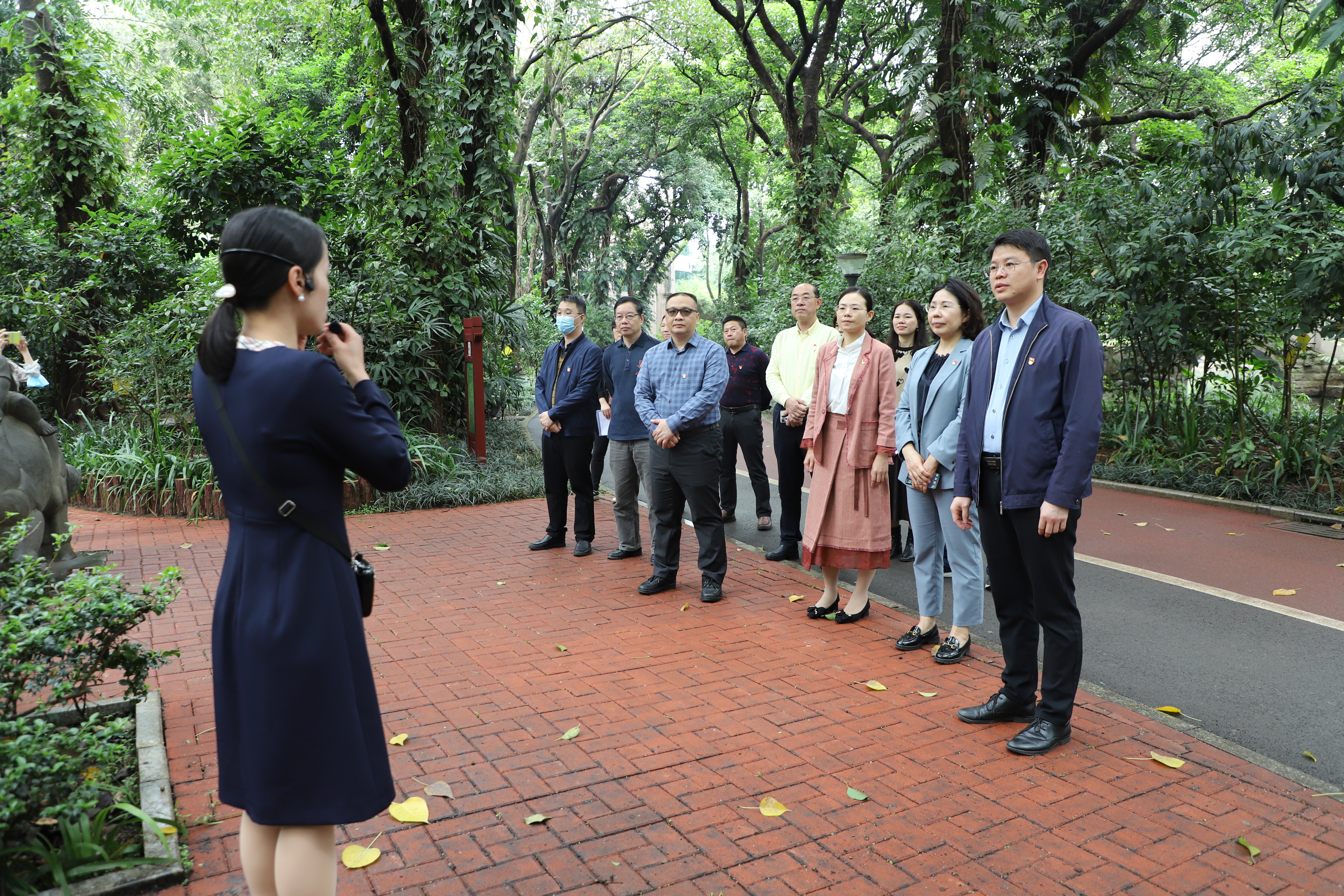 茶风廉韵拂面来警示教育润人心——绿港集团*党**委开展廉洁警示教育活动