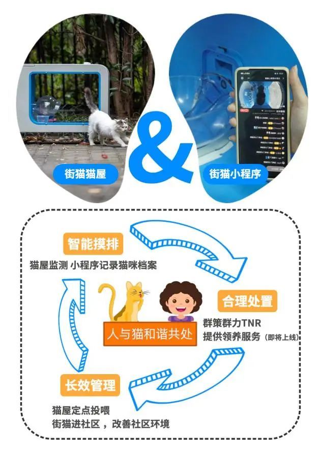 流浪猫自动喂粮器防蚂蚁,流浪猫自动喂猫粮