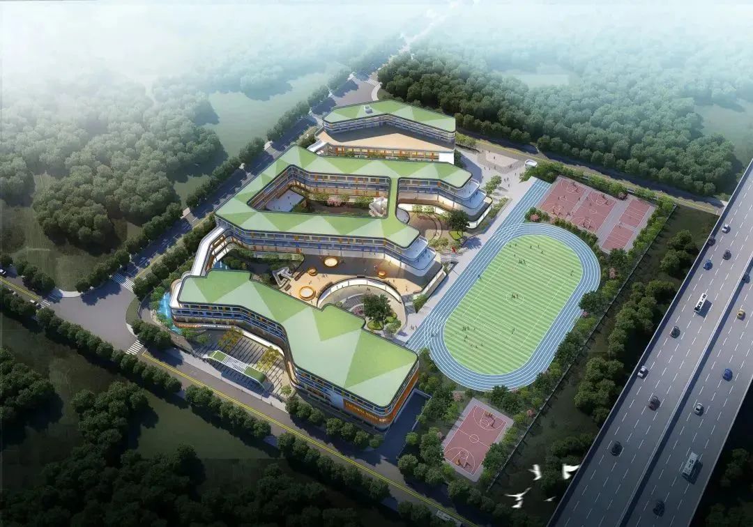 永康小学学位政策,永康2024小学入学人数剩余名额