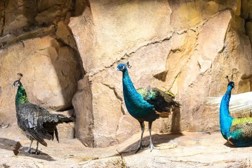 拒绝“特种兵”旅游内卷五一来湘潭“FUN”肆嗨