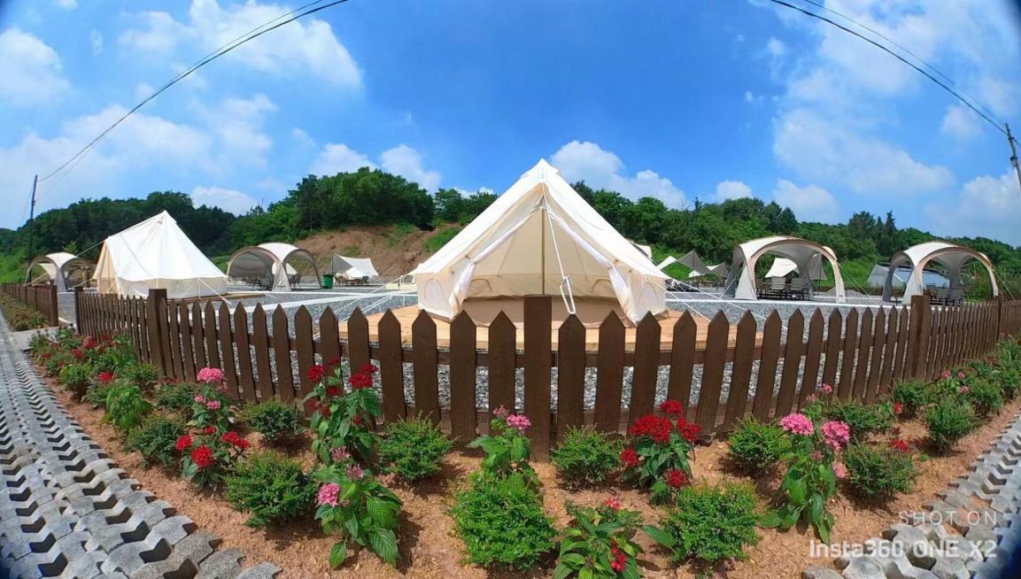 春天花正开沈阳正当时,春天花正开沈阳