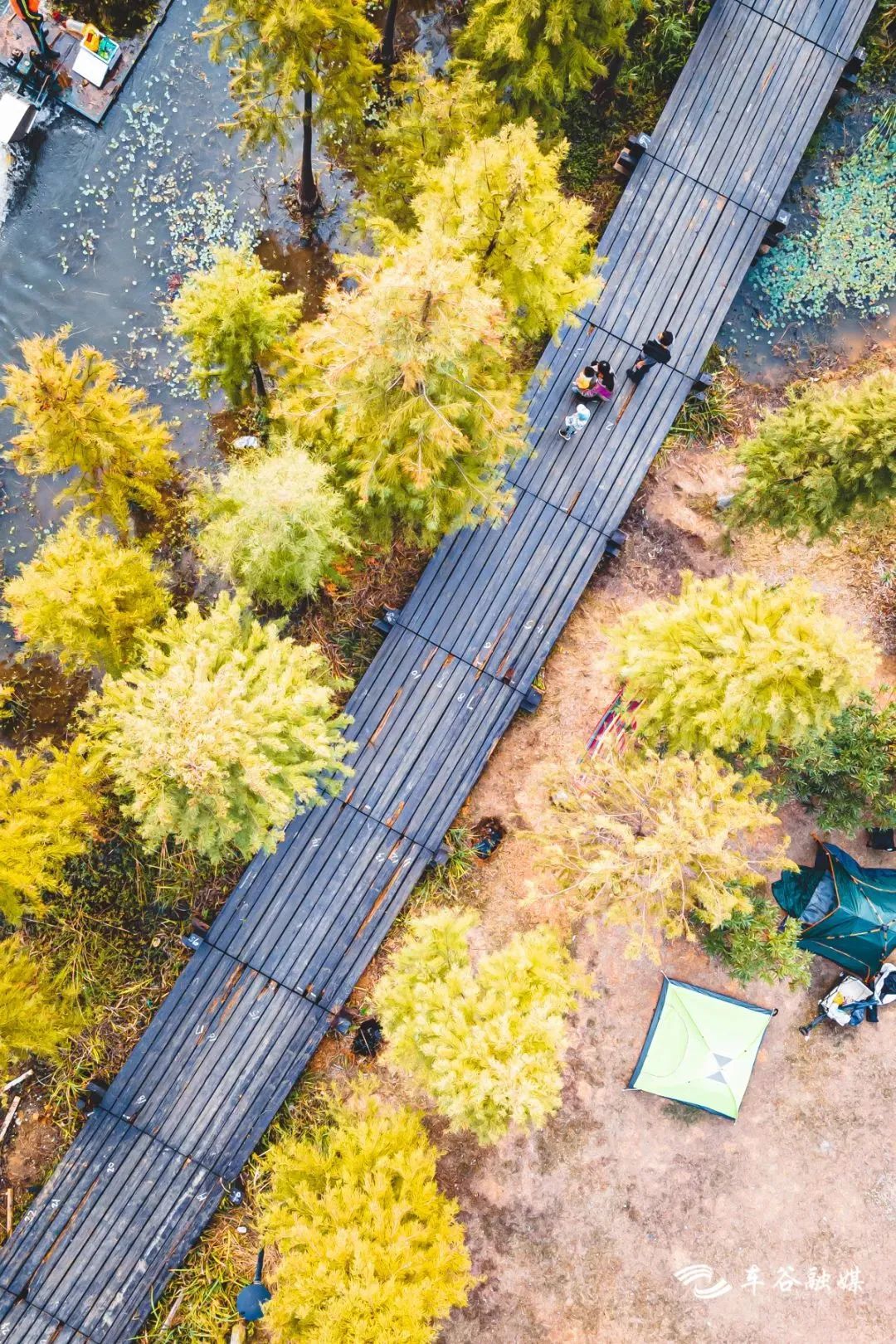 骑车打卡绿道,东湖绿道骑行享受闲暇时光