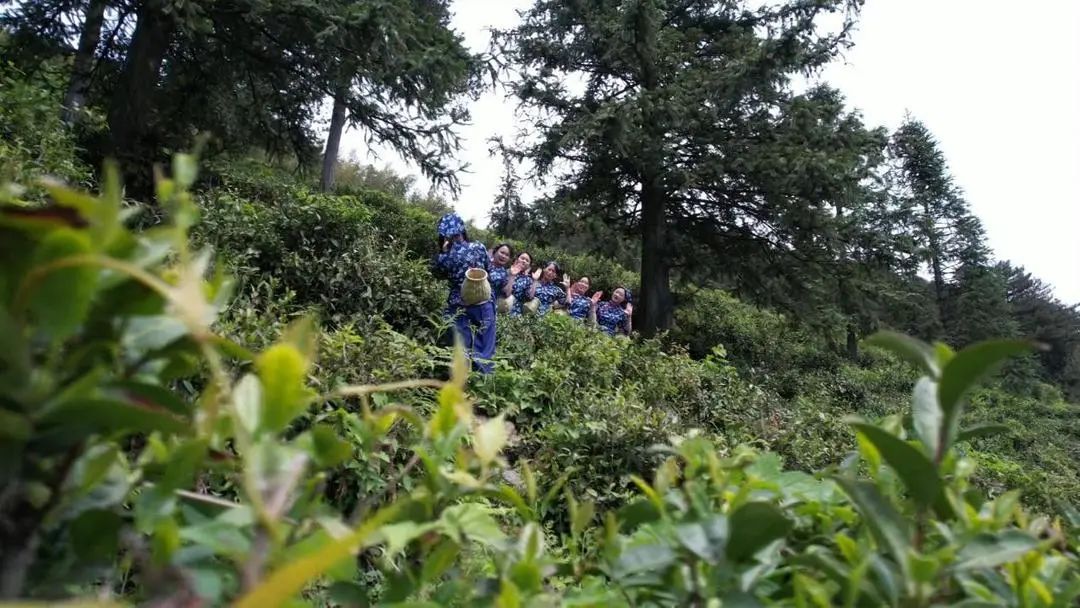 武汉市的后花园,打造武汉后花园