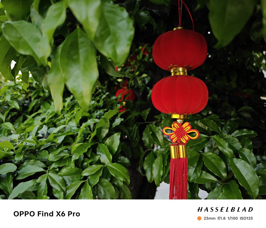 小米13ultra和oppofindx6pro拍照谁更强,oppofindx6pro对比小米13ultra人像拍照