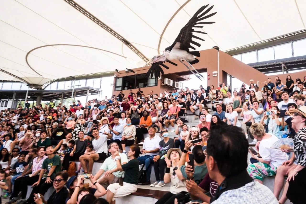 新加坡裕廊飞禽公园,新加坡飞禽公园门票