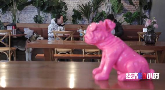 民生满意度调查问卷模板,民生实事调研问卷