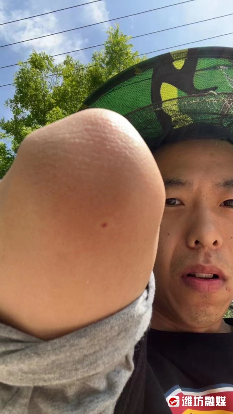 蜂二代营养师直播,蜂二代品牌