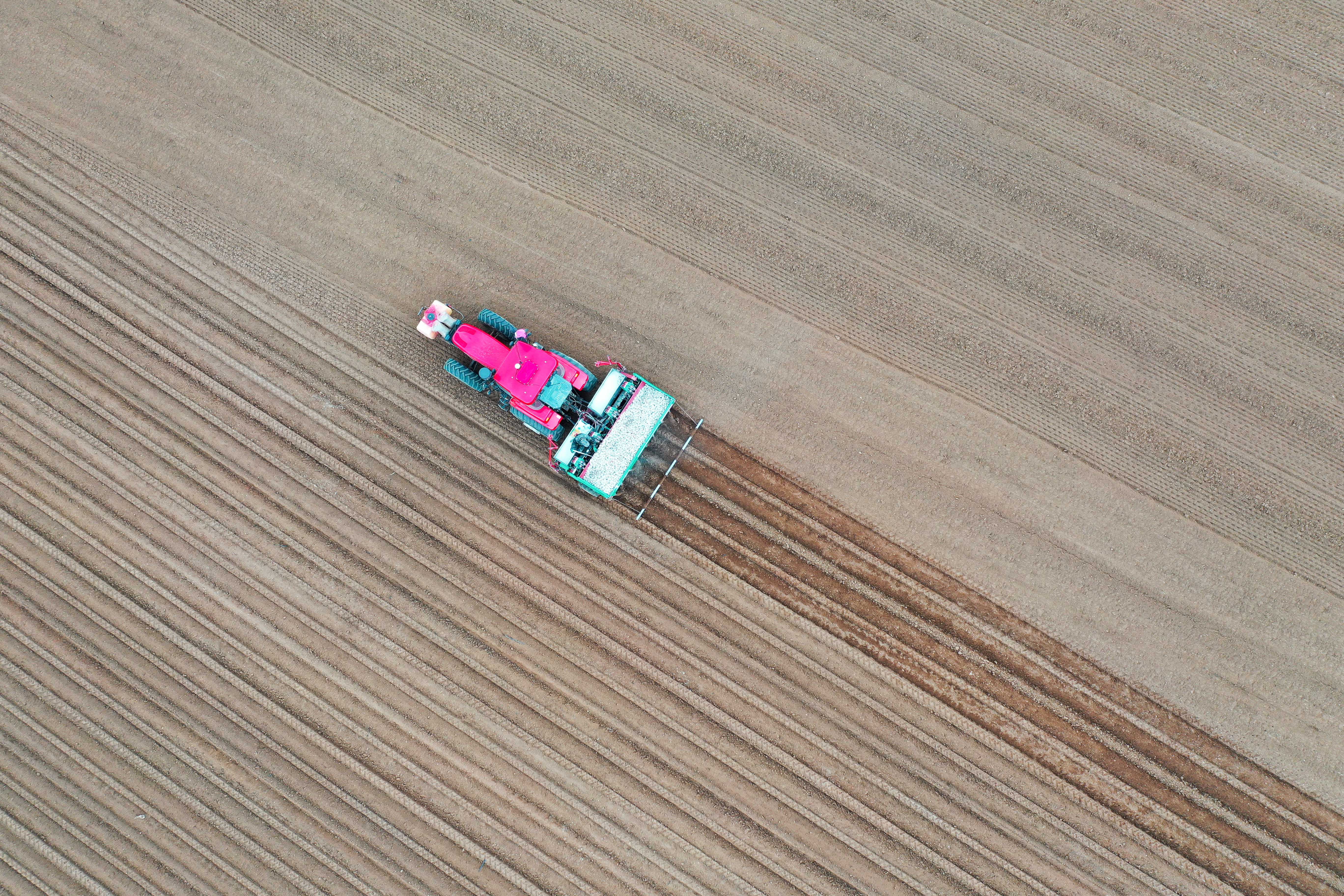 呼和浩特马铃薯播种,呼和浩特哪个区域马铃薯多