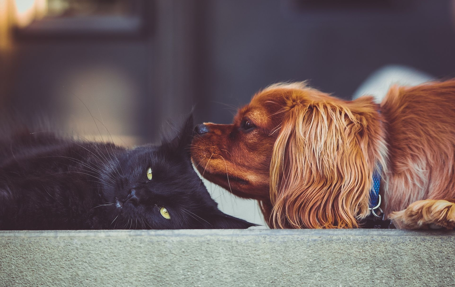 关于中国的科学家故事,科学中国人期刊级别