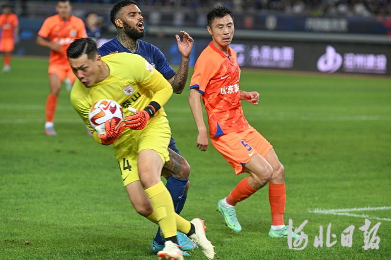中超山东泰山vs沧州雄狮在线观看,中超山东泰山vs沧州雄狮首发阵容