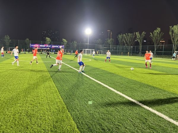 汉阳友好城,武汉运动之城足球场建设