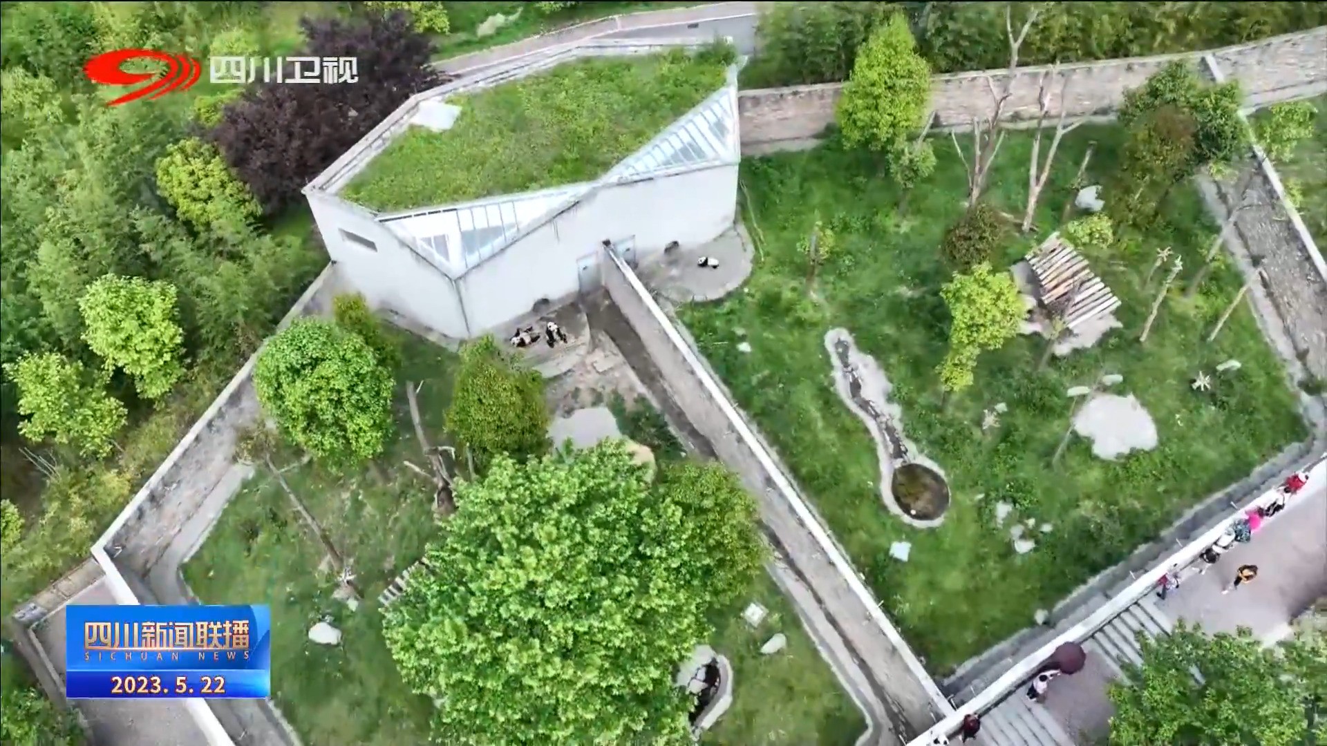 大熊猫国家公园纪录片,四川观察大熊猫直播