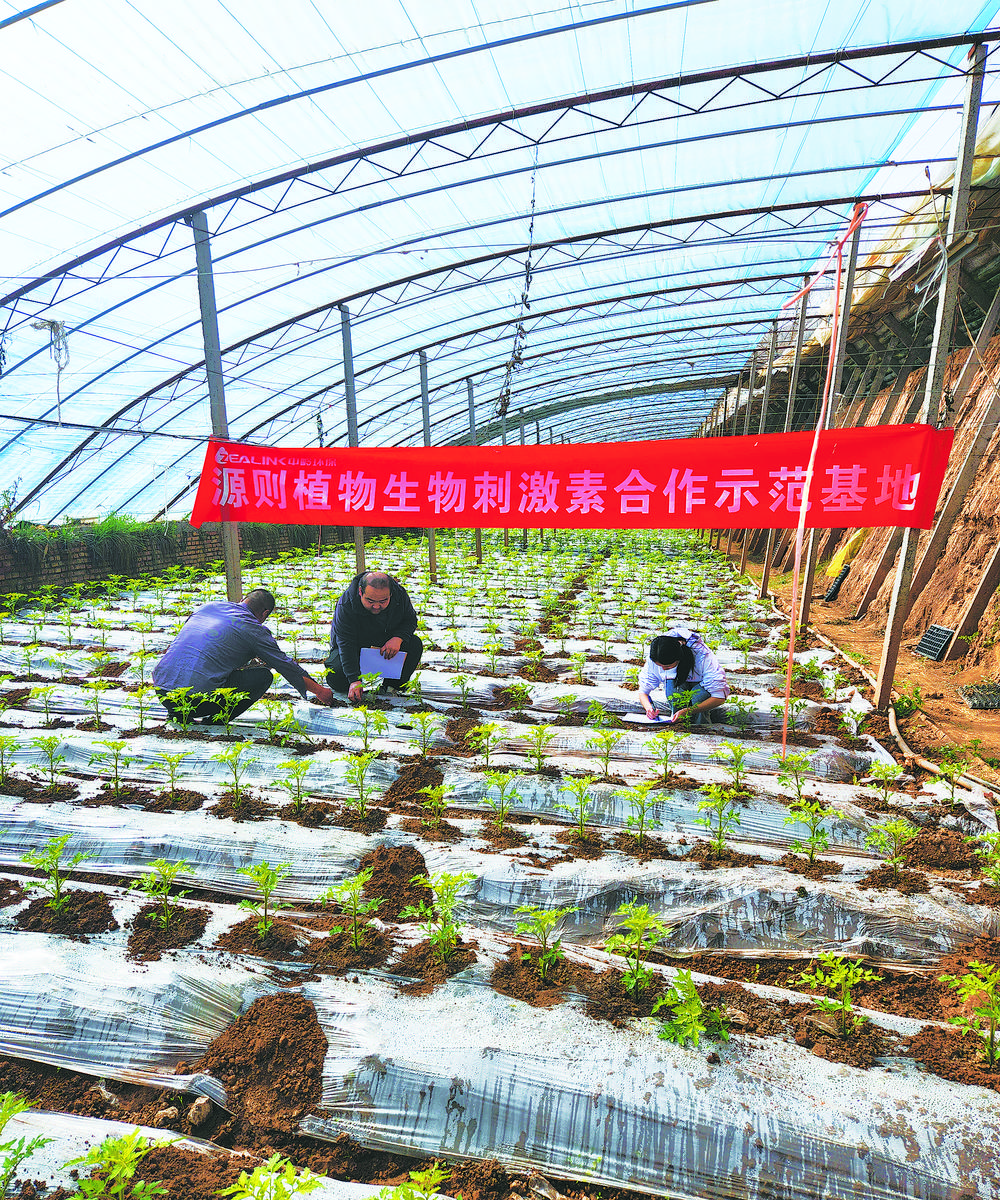 高原小微企业“一团火”点亮创新创业“满天星”