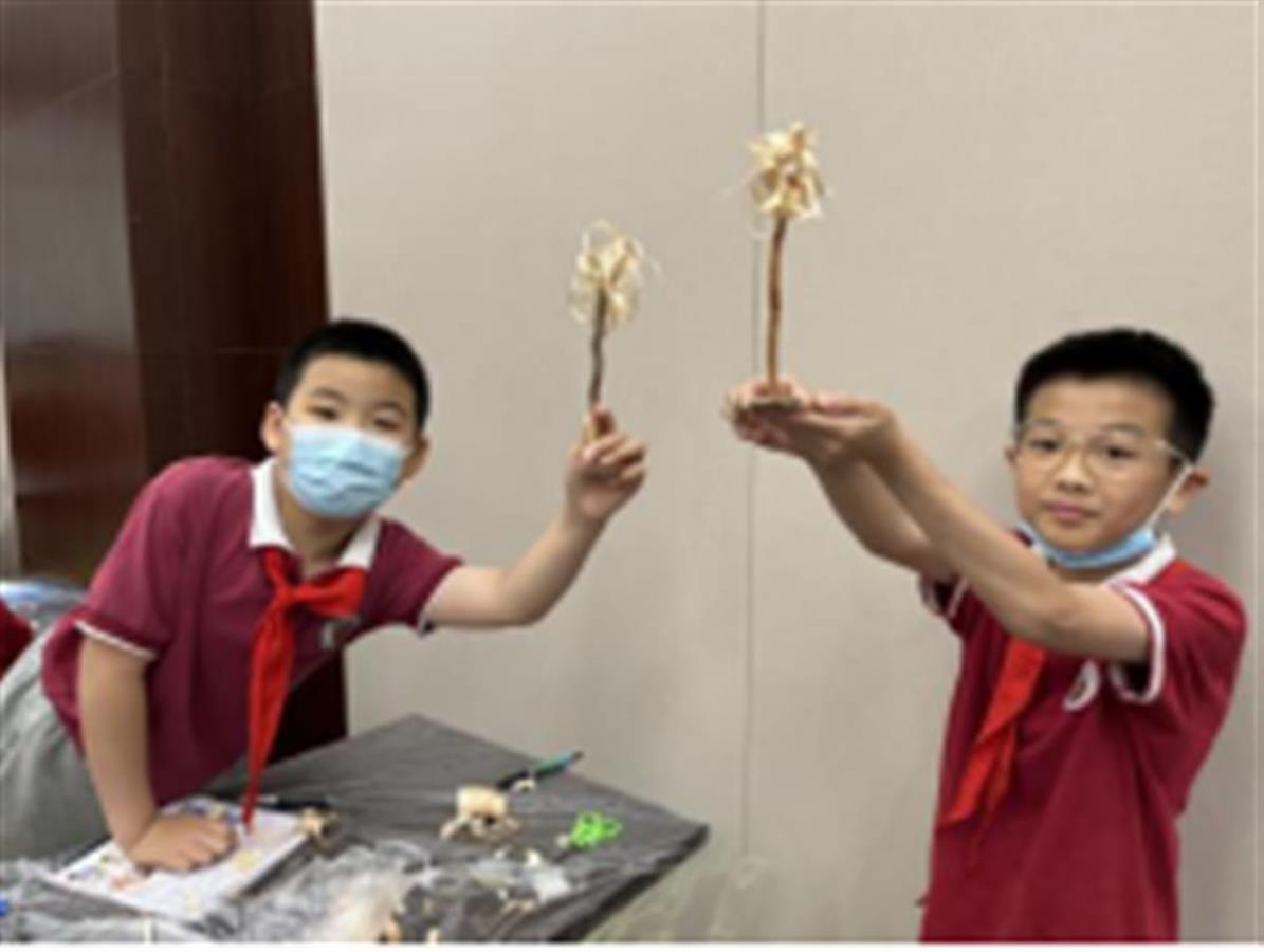 小学生走进科技馆，了解中国建筑科技魅力