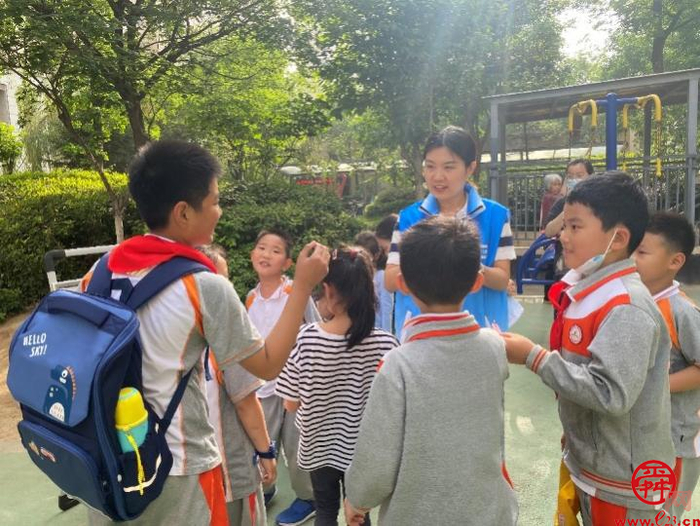 国槐绿化效果图,国槐的园林景观