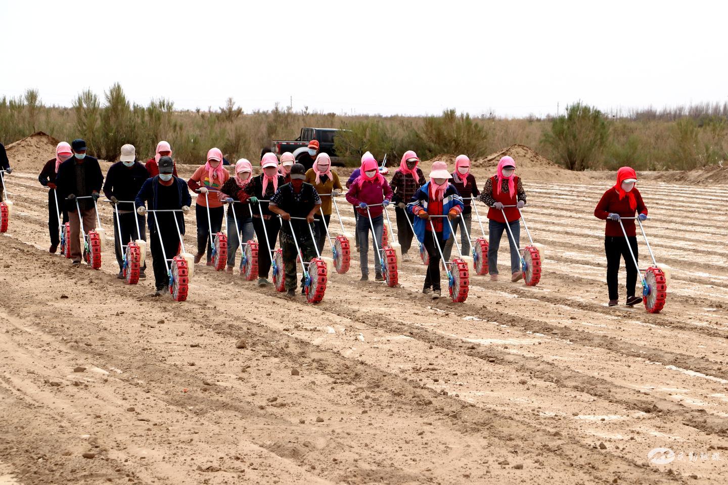 民勤红沙梁镇介绍,民勤红沙梁发展情况
