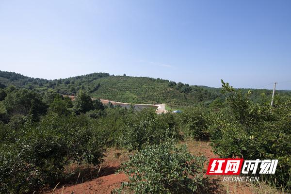 零烟有担当山湾展新颜——湖南中烟公司零陵卷烟厂第一轮乡村振兴帮扶纪实