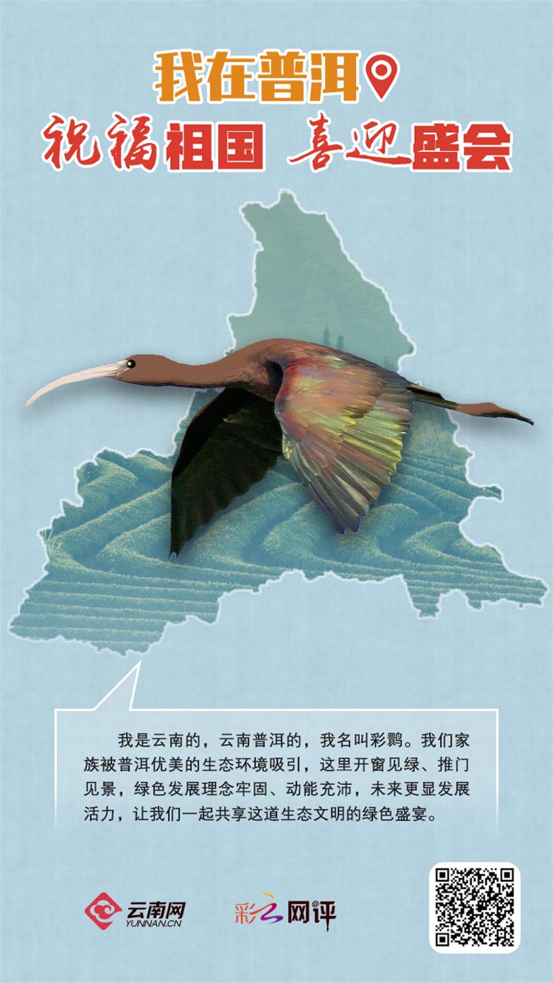 云南社会责任,云南日报社会责任报告