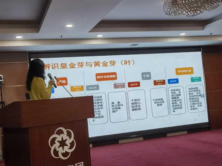 繁茂的藤蔓⑤：跟上时代，从浙商选择看马连道未来