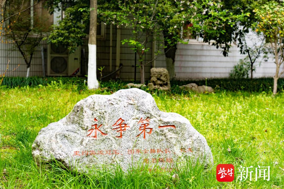 奋跃而上教学,奋跃而上女声完整版