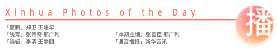 新华每日播报5月1日,新华每日播报