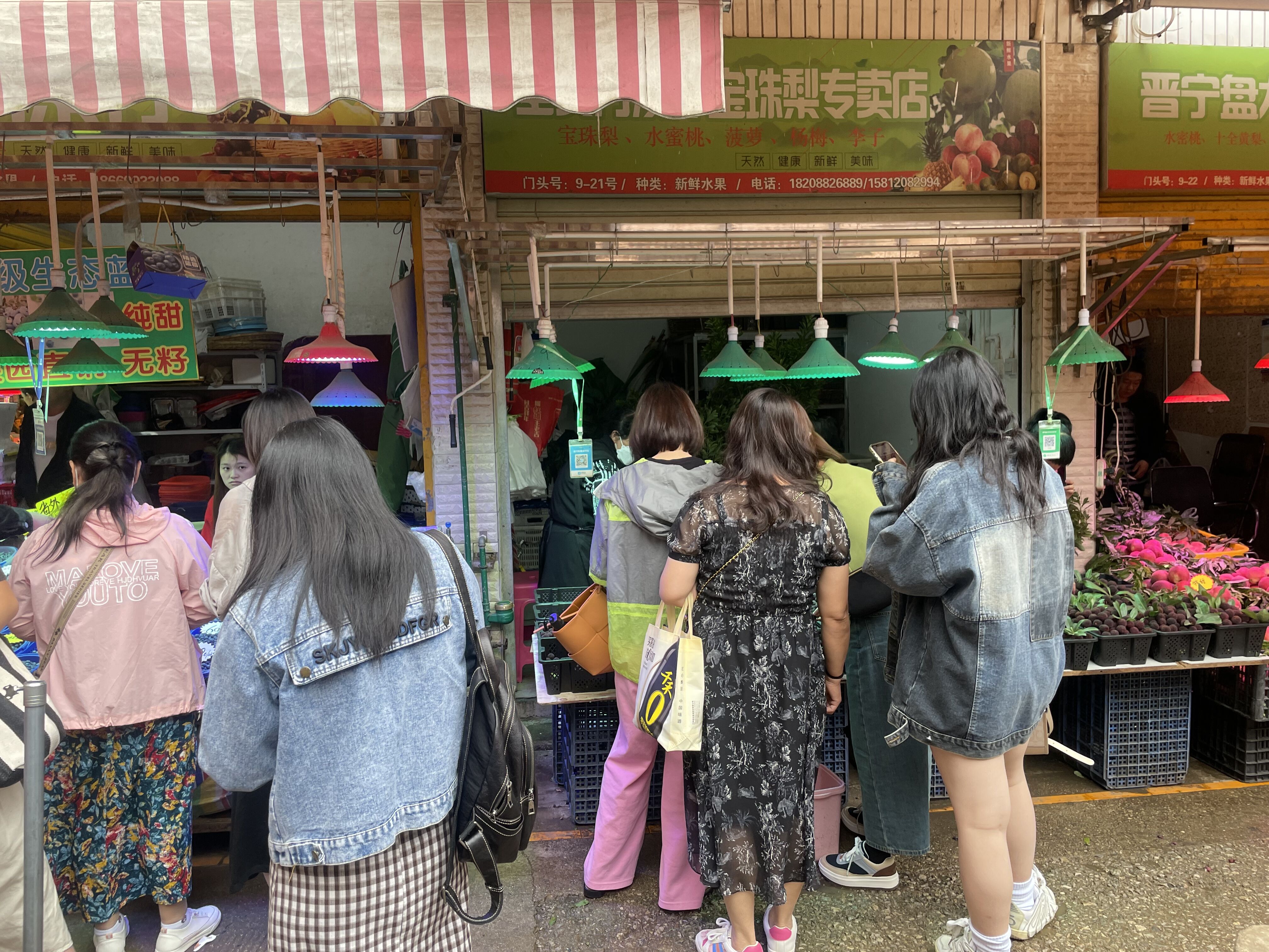 水果自由来了？昆明市场荔枝、桃、杨梅、山竹价格亲民