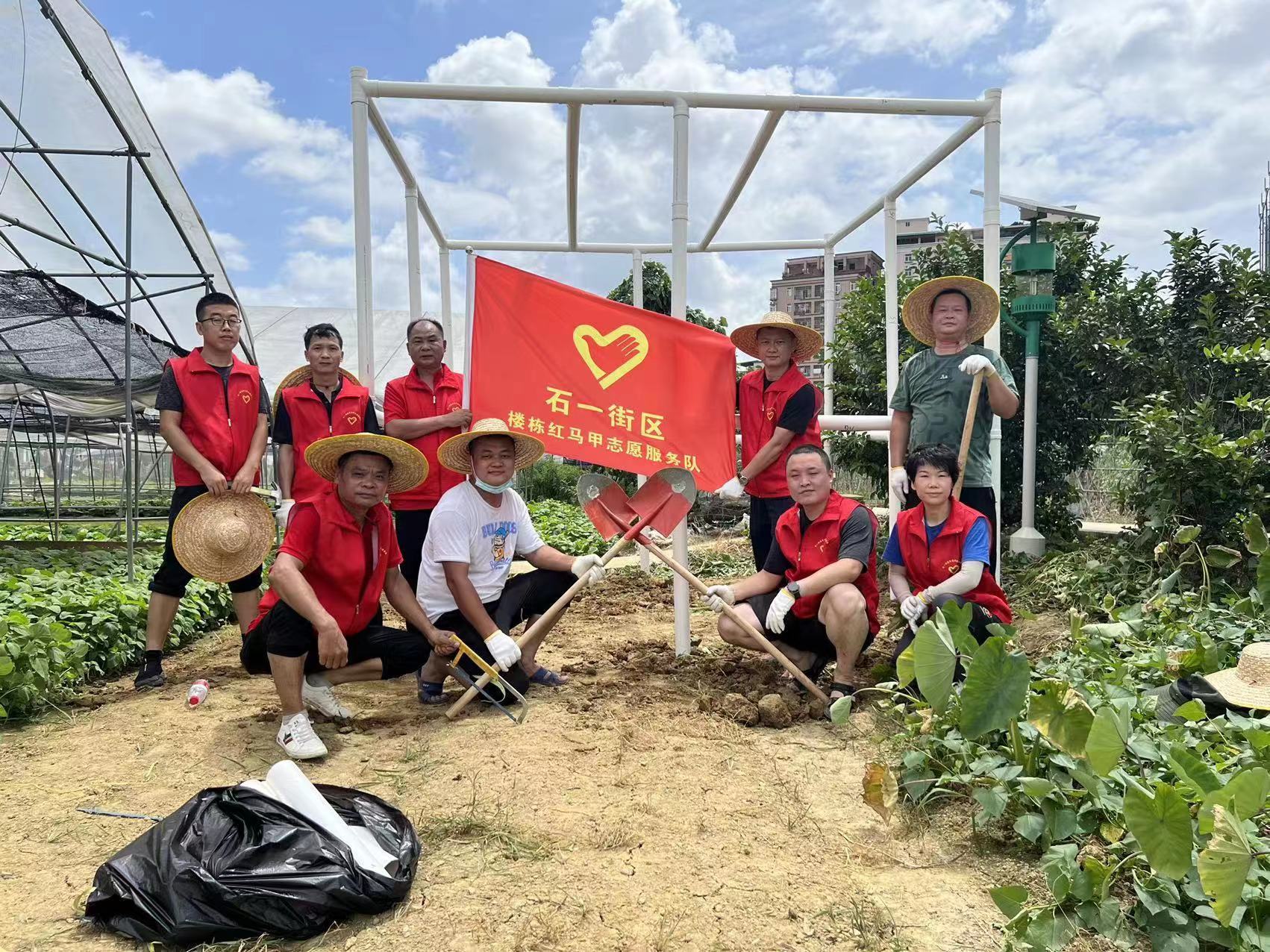 观澜共生,深圳龙华区观澜社区