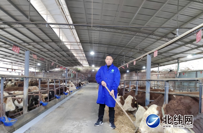 蹚出新时代乡村振兴路,蹚出乡村振兴特色路