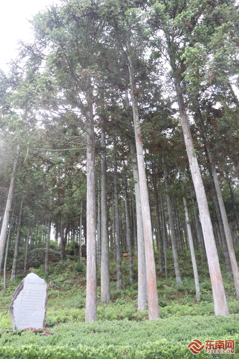 做足“绿”文章勇于“碳”新路