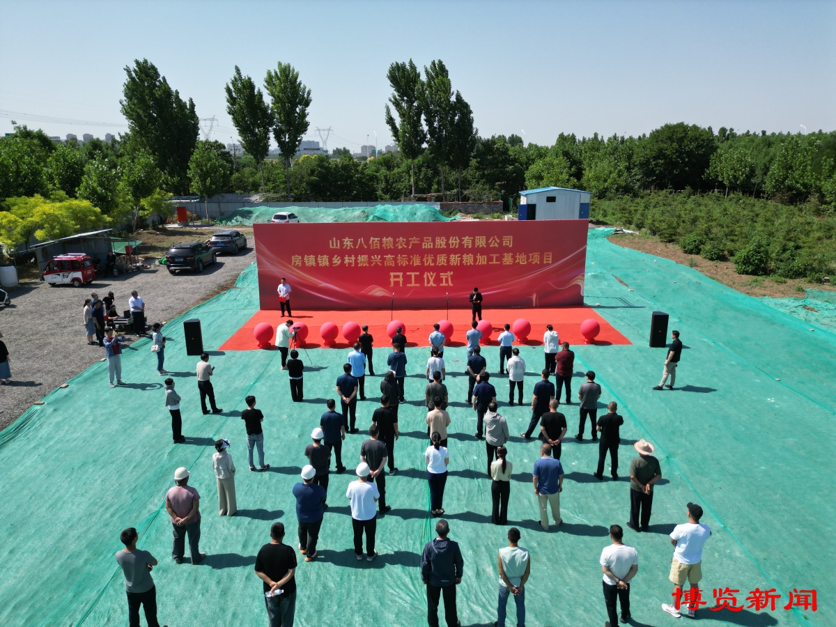 金安区张店镇美丽乡村建设,张店区建设项目美丽乡村名单