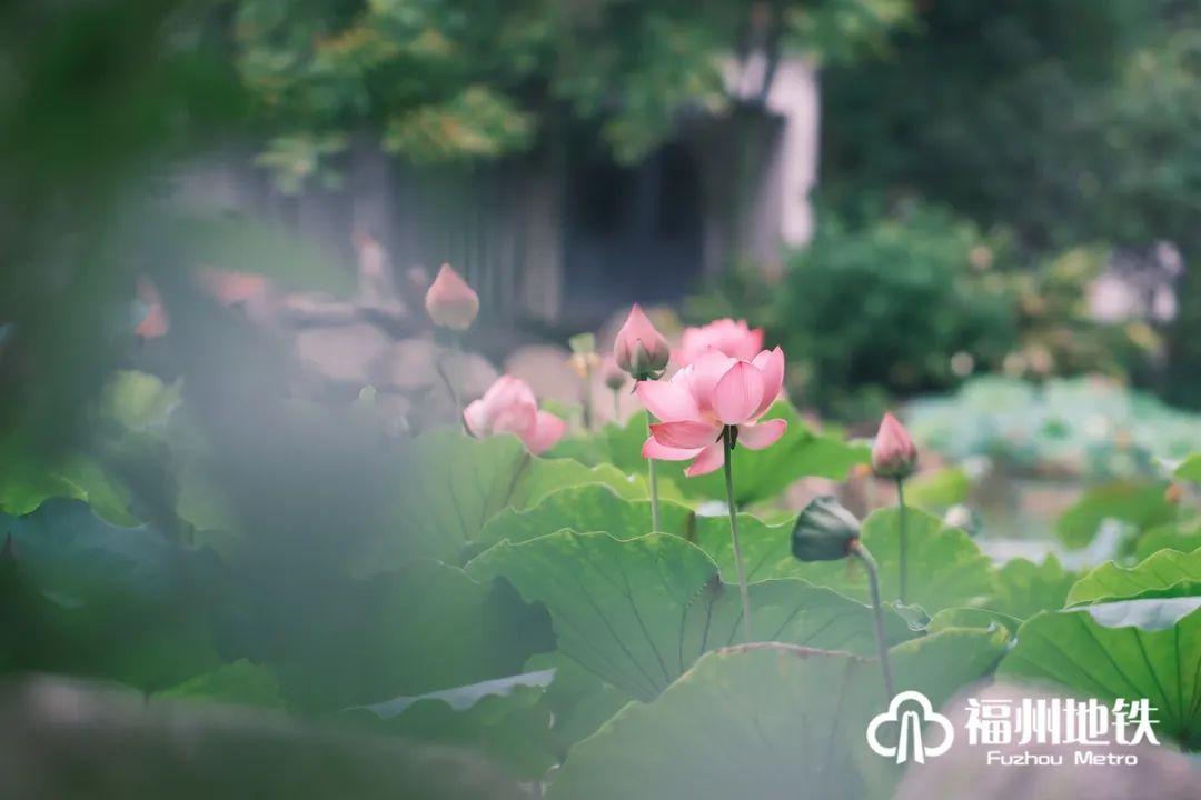 福州地铁4号线花海公园站出入口,福州琴亭湖公园地铁