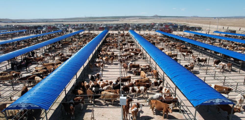 缈佺墰鐗规棗缁忔祹鎺掑悕,缈佺墰鐗规棗缁忔祹鍙戝睍