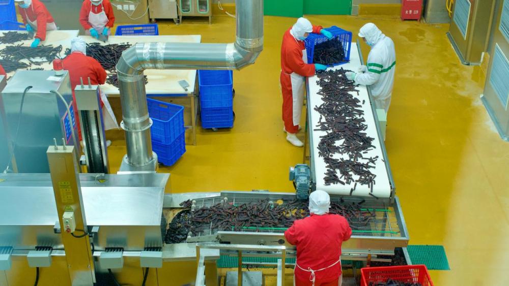 缈佺墰鐗规棗缁忔祹鎺掑悕,缈佺墰鐗规棗缁忔祹鍙戝睍